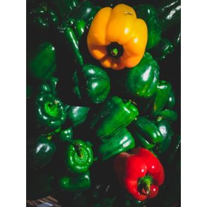 I Peberfrugt og Chili