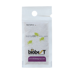 Tripsrovmide smposer 10stk