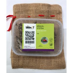 Toplettede Mariehns, 100stk larver