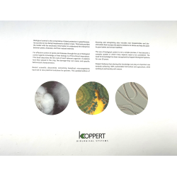 KNOWING &amp; RECOGNIZING