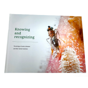 KNOWING & RECOGNIZING