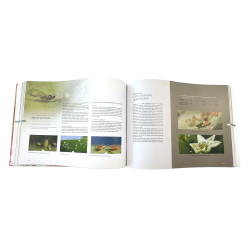 KNOWING &amp; RECOGNIZING