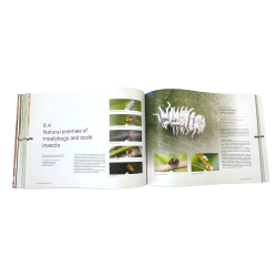 KNOWING &amp; RECOGNIZING