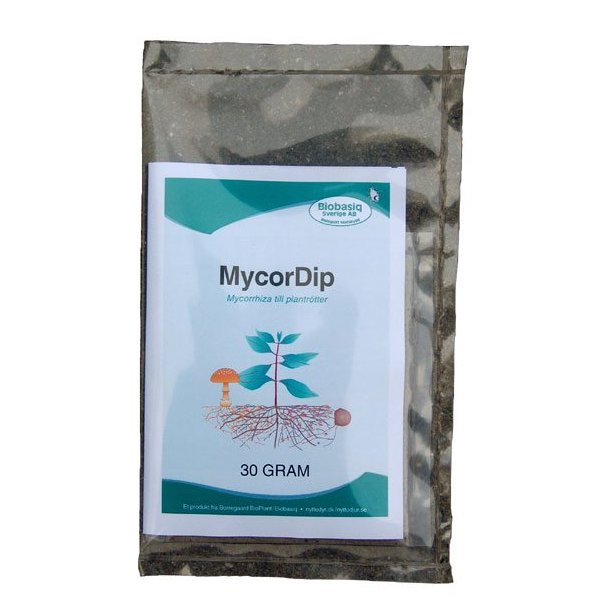 MycorDip mycorrhiza