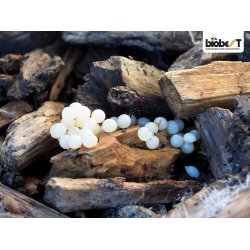 FERRAMOL inkl. fragt