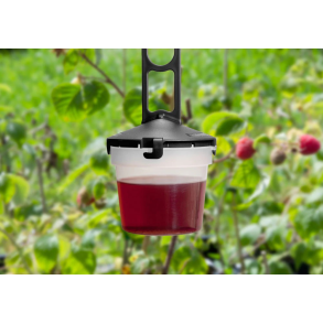 Frugtfluef�lde til b�r