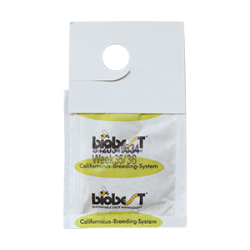 Californicus-rovmide smposer 10stk