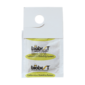 Californicus-rovmide smposer 10stk