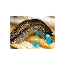 FERRAMOL inkl. fragt