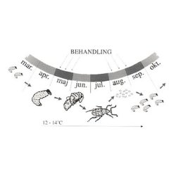 NEMATODER MOD �RESNUDEBILLER