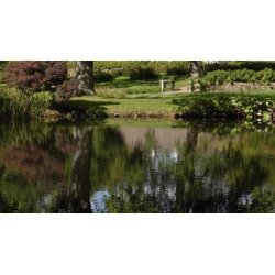 POND RELIEF TR�DALGEFJERNER