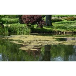 POND RELIEF TR�DALGEFJERNER