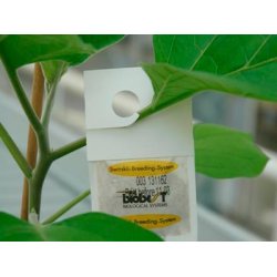 Tripsrovmide smposer 10stk